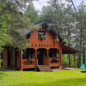 https://el-pi-solitari.catalonia-hotels.com